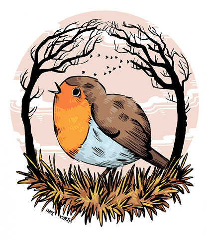 robin red breast